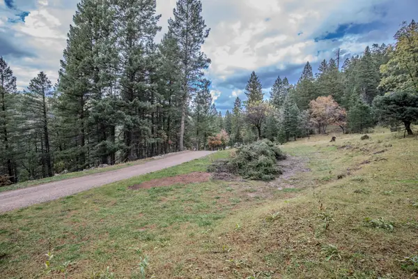 00 Moser Ranch Road, Cloudcroft, NM 88317