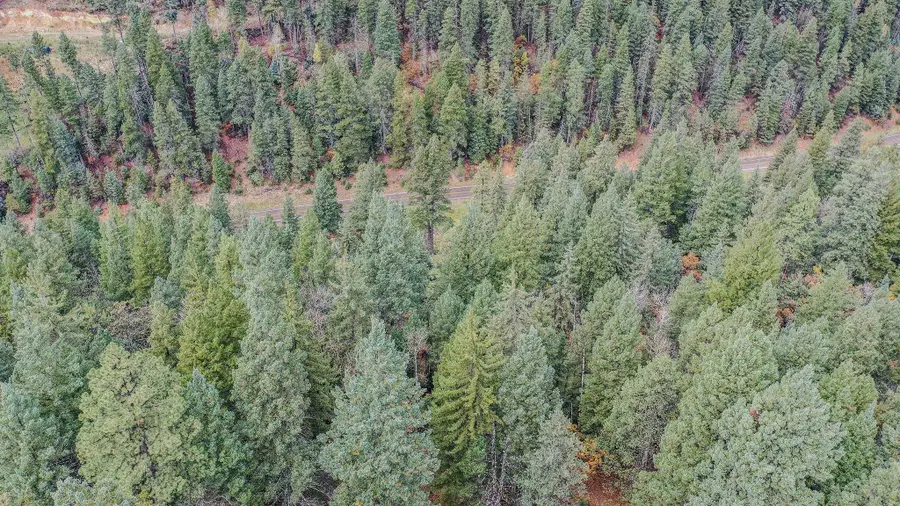 00 Moser Ranch Road, Cloudcroft, NM 88317 - Image #3