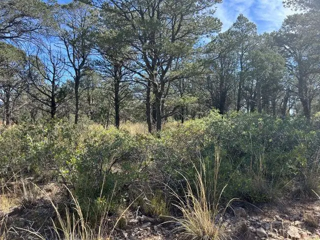 29 Forest Loop, Timberon, NM 88350 - Image #1