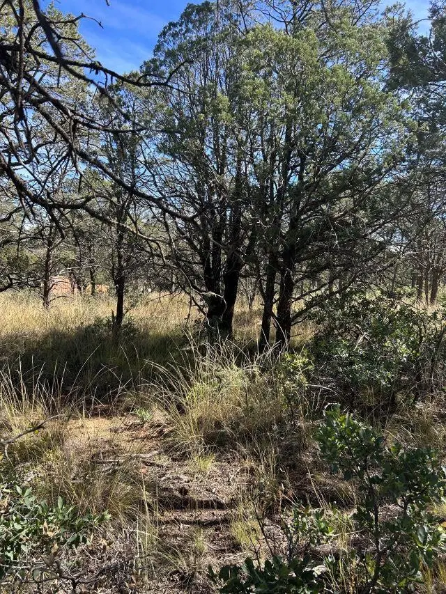 29 Forest Loop, Timberon, NM 88350 - Image #3