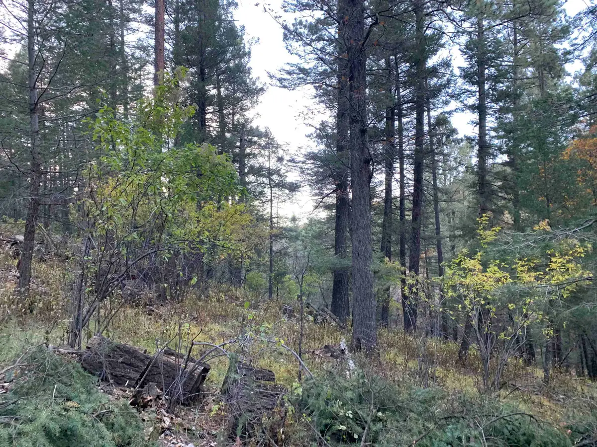 00 Gold Nuggett Aly, Cloudcroft, NM 88317 - Image #1