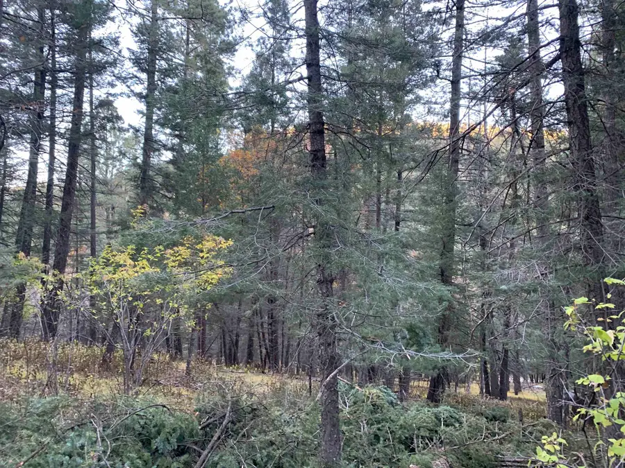 00 Gold Nuggett Aly, Cloudcroft, NM 88317 - Image #2