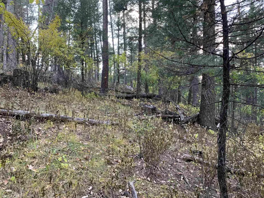 00 Gold Nuggett Aly, Cloudcroft, NM 88317 - Image #3