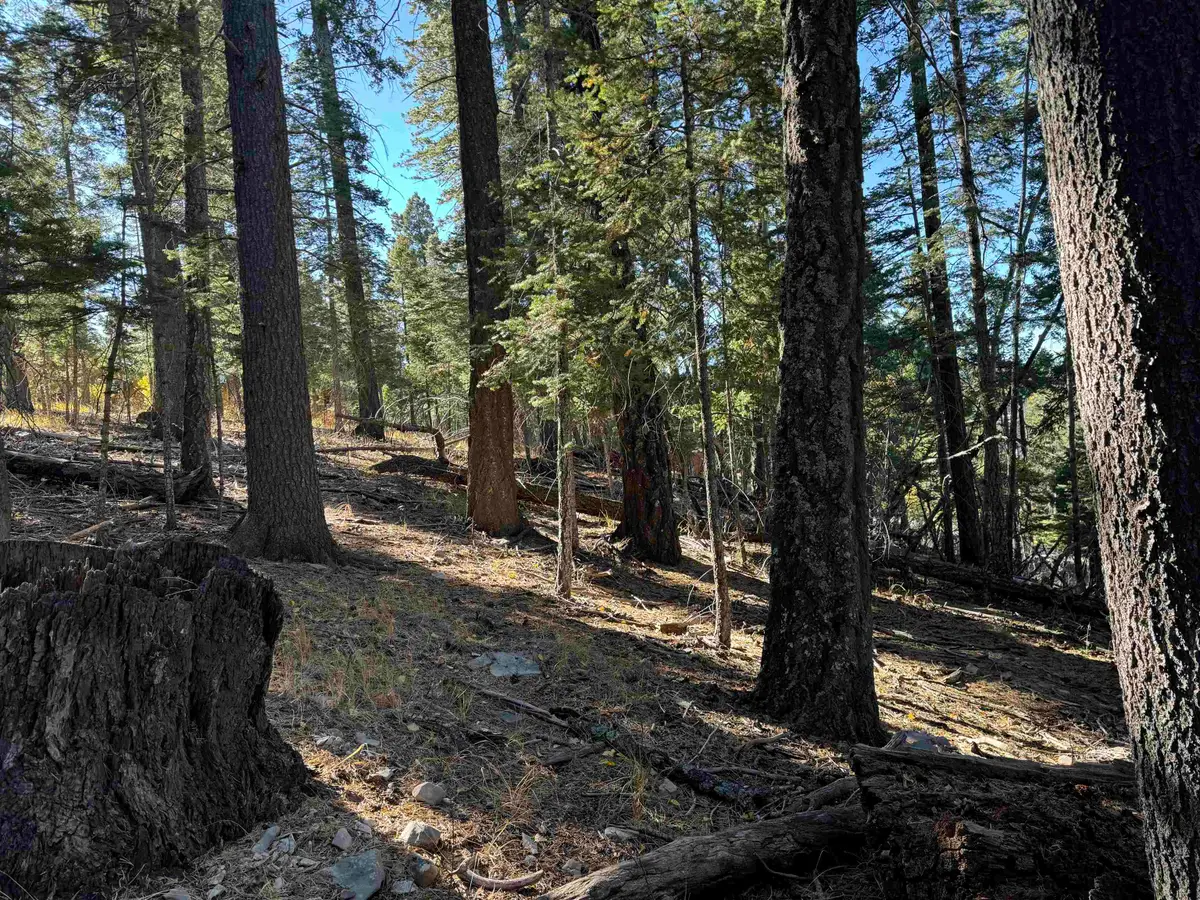 800 Shells Ln, Cloudcroft, NM 88317-0000 - Image #1