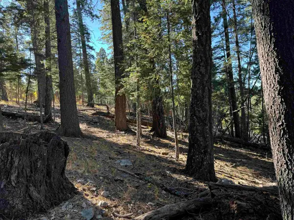 800 Shells Ln, Cloudcroft, NM 88317-0000