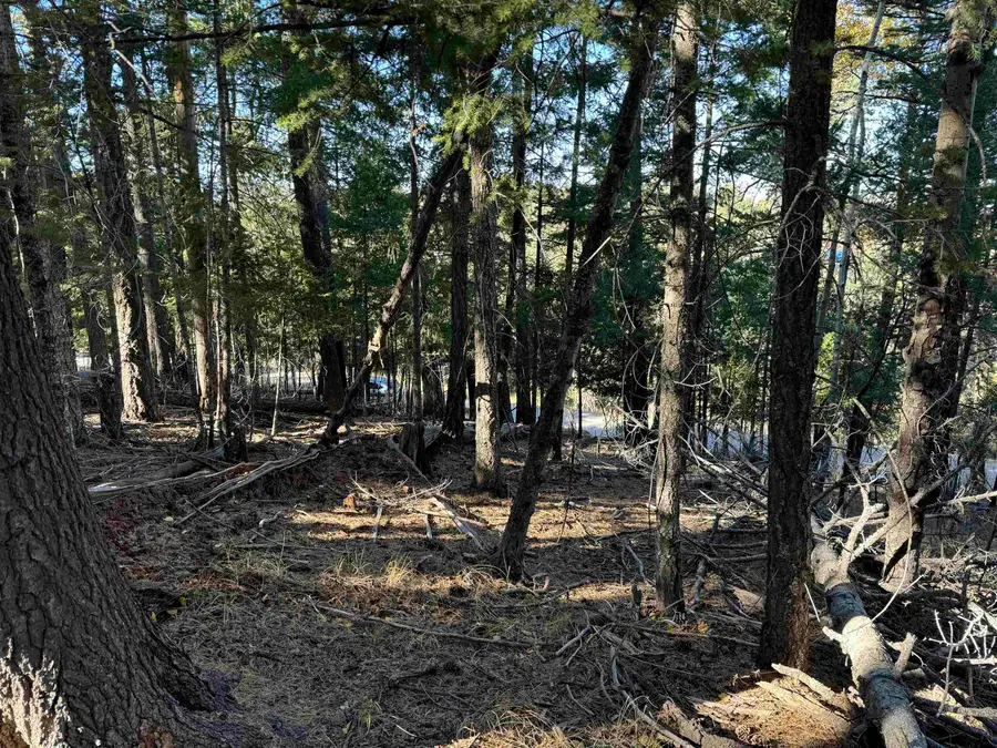 800 Shells Ln, Cloudcroft, NM 88317-0000 - Image #2