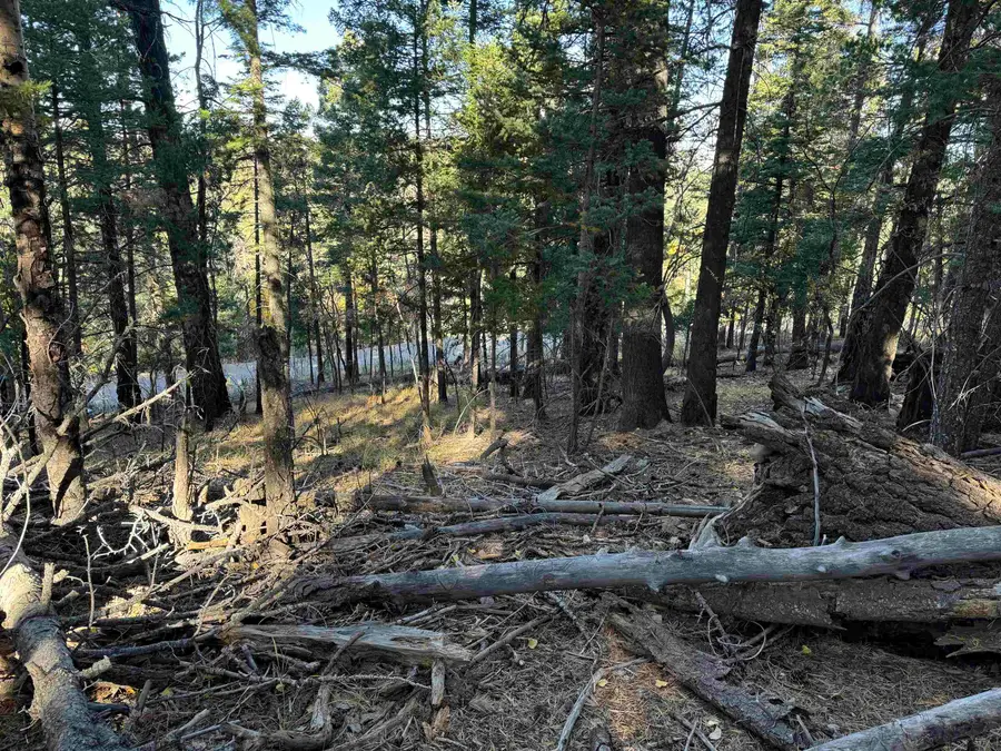 800 Shells Ln, Cloudcroft, NM 88317-0000 - Image #3