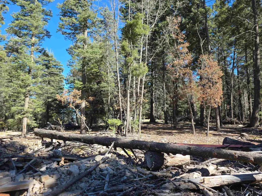 Section 13 Rd, Cloudcroft, NM 88317 - Image #2