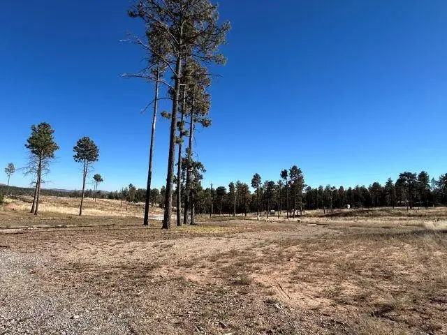 12 Tokatee Ct, Timberon, NM 88350 - Image #2