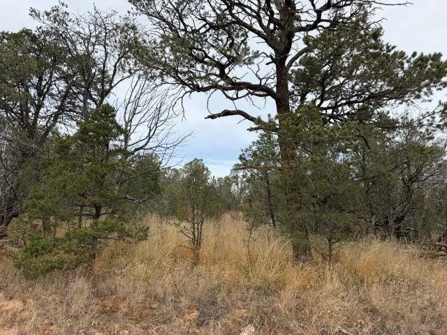 Palomino Dr, Timberon, NM 88350 - Image #1