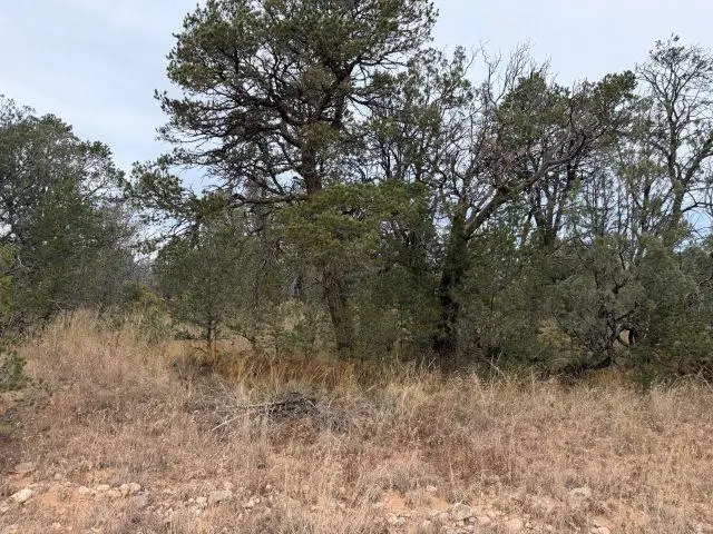 Palomino Dr, Timberon, NM 88350 - Image #2