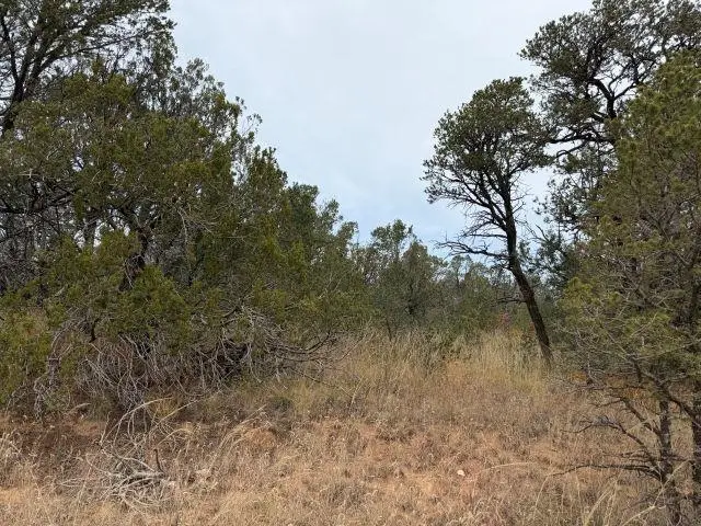 Palomino Dr, Timberon, NM 88350 - Image #3