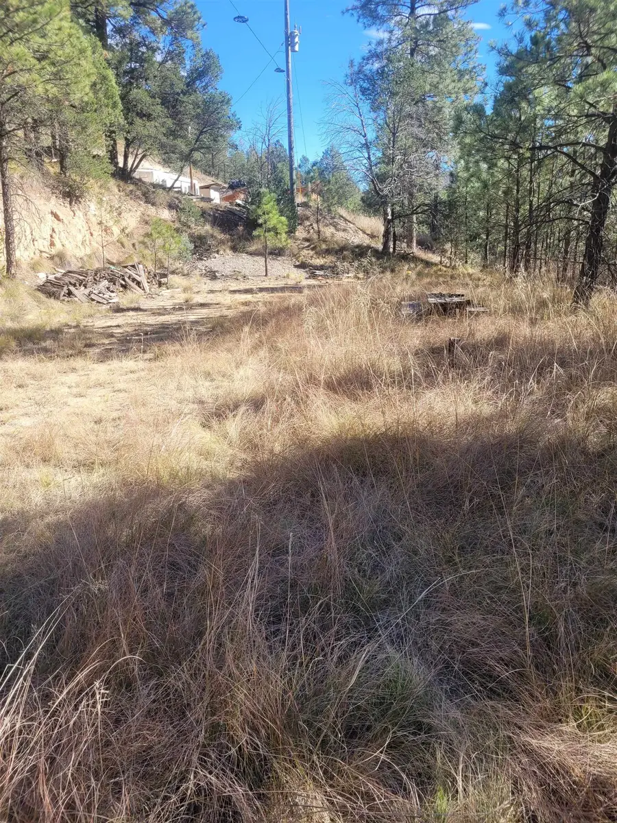 23 Ponderosa Dr, Mayhill, NM 88339-9999 - Image #2