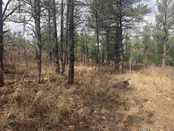 Summer Dr, Timberon, NM 88350-0000