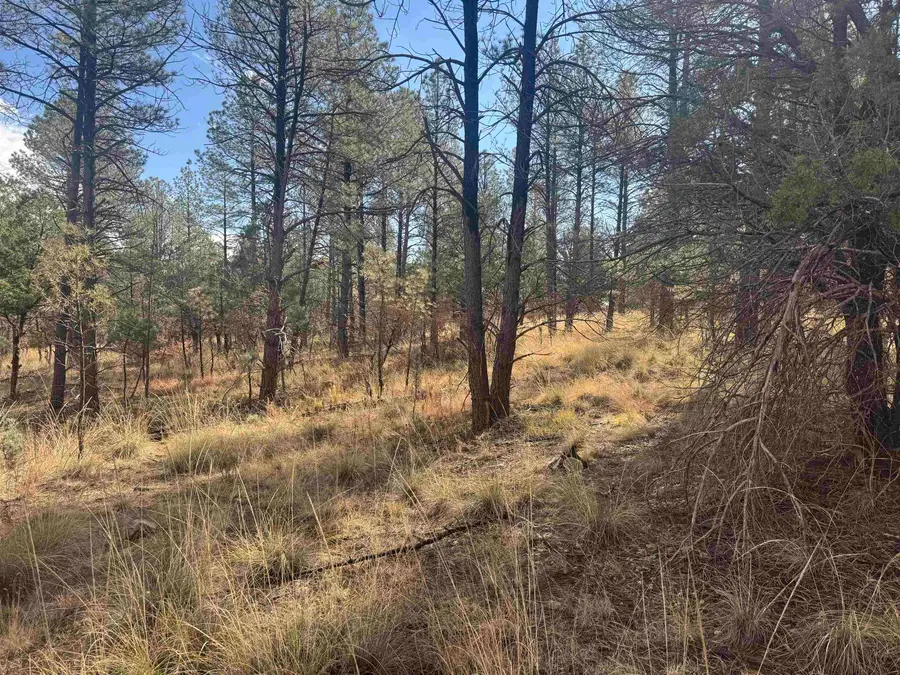 Summer Dr, Timberon, NM 88350-0000 - Image #2