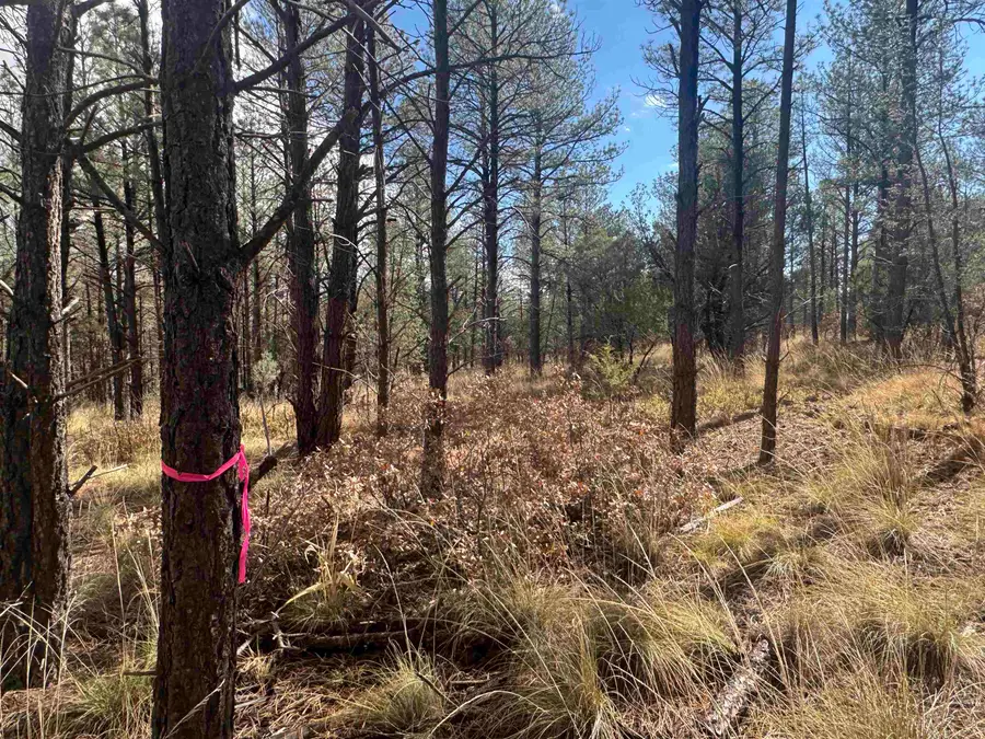 Summer Dr, Timberon, NM 88350-0000 - Image #3