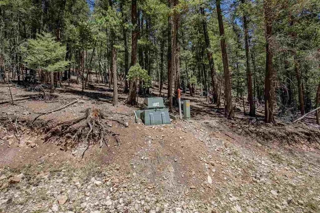 Forest View Rd, Cloudcroft, NM 88317-0000 - Image #1