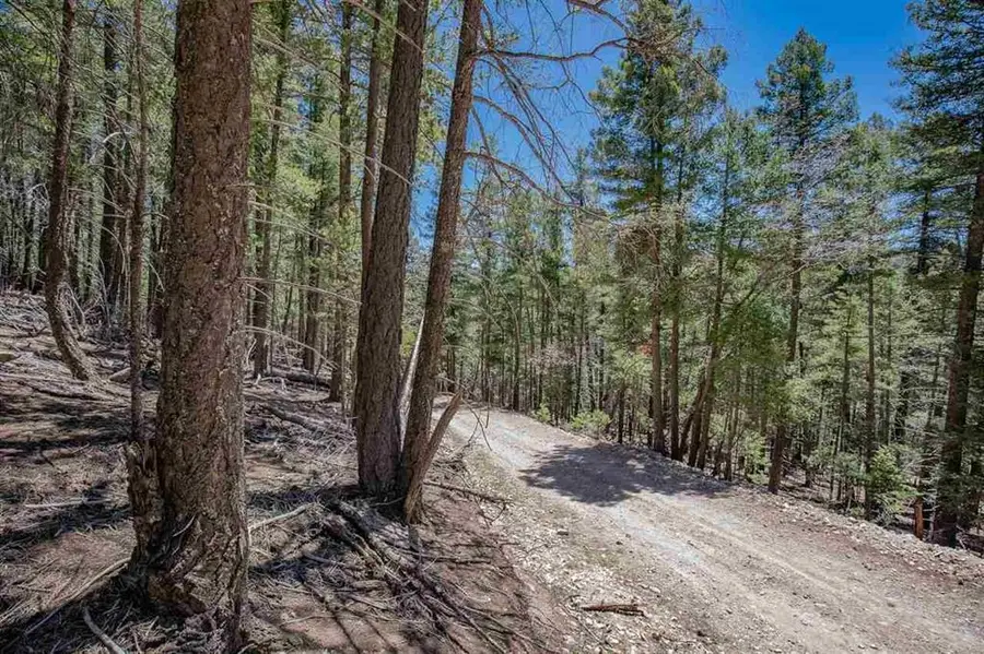 Forest View Rd, Cloudcroft, NM 88317-0000 - Image #2