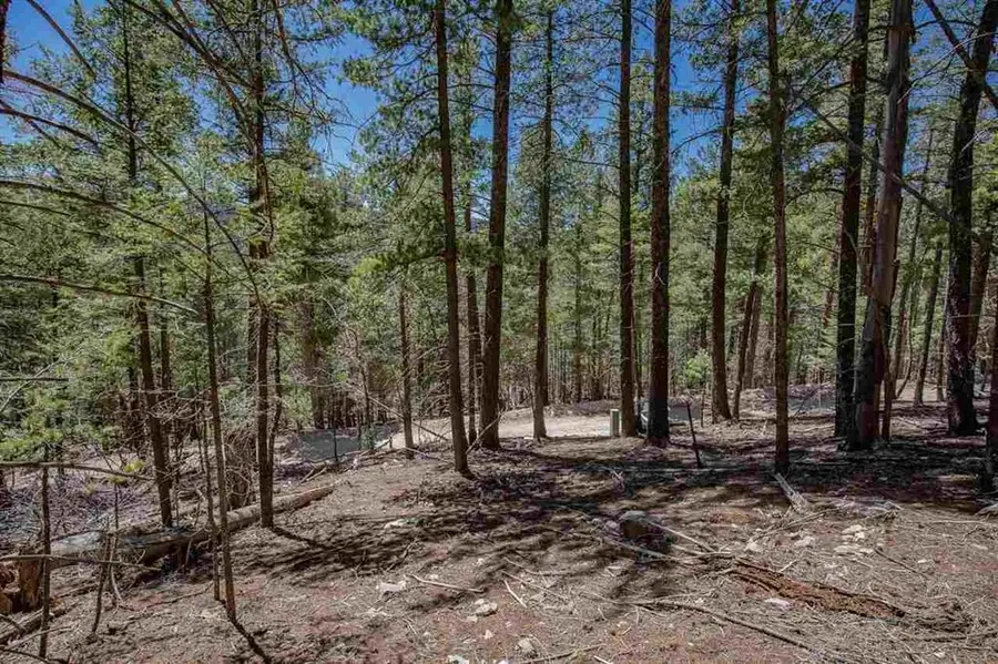 Forest View Rd, Cloudcroft, NM 88317-0000 - Image #3