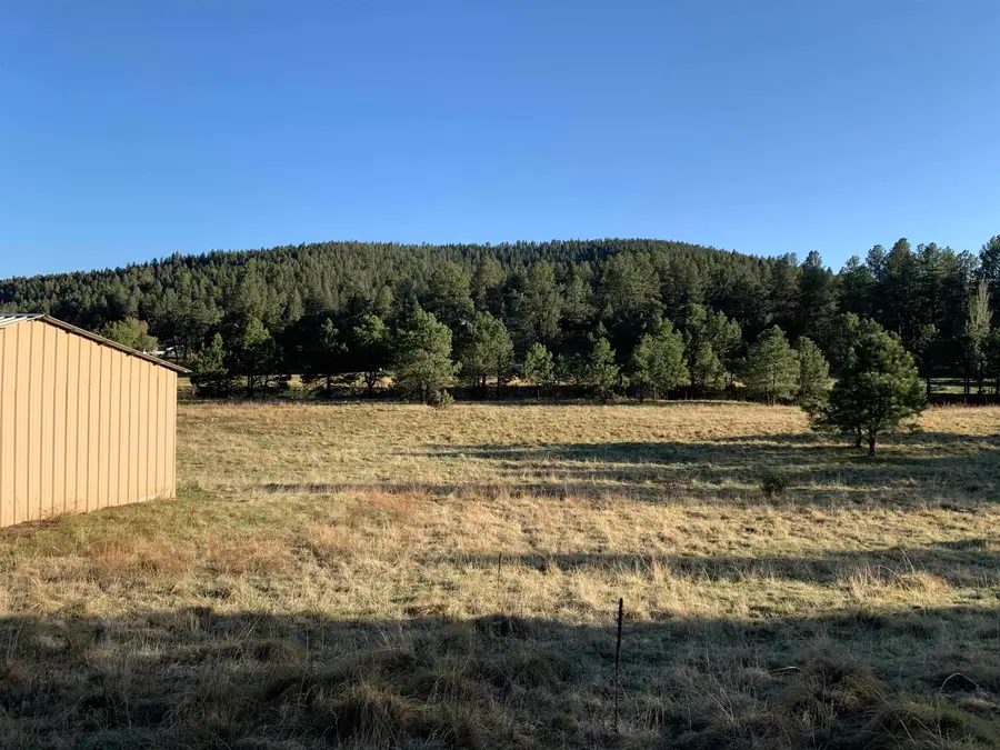 Lot 3 James Canyon Hwy, Mayhill, NM 88339 - Image #3