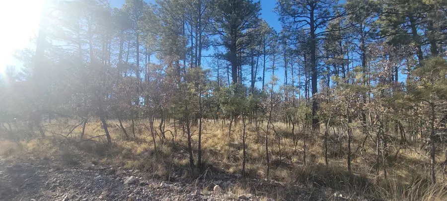 9 Devonshire Ave, Timberon, NM 88350 - Image #2