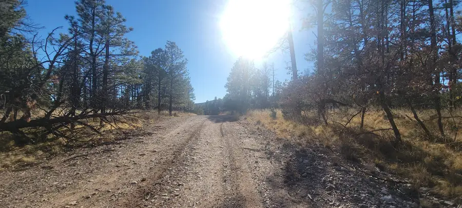 9 Devonshire Ave, Timberon, NM 88350 - Image #3