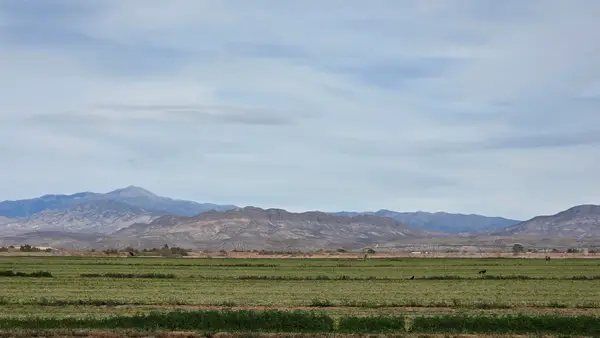 255 Tulie Gate Rd, Tularosa, NM 88352