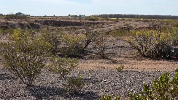 Tulie Gate Rd, Tularosa, NM 88352