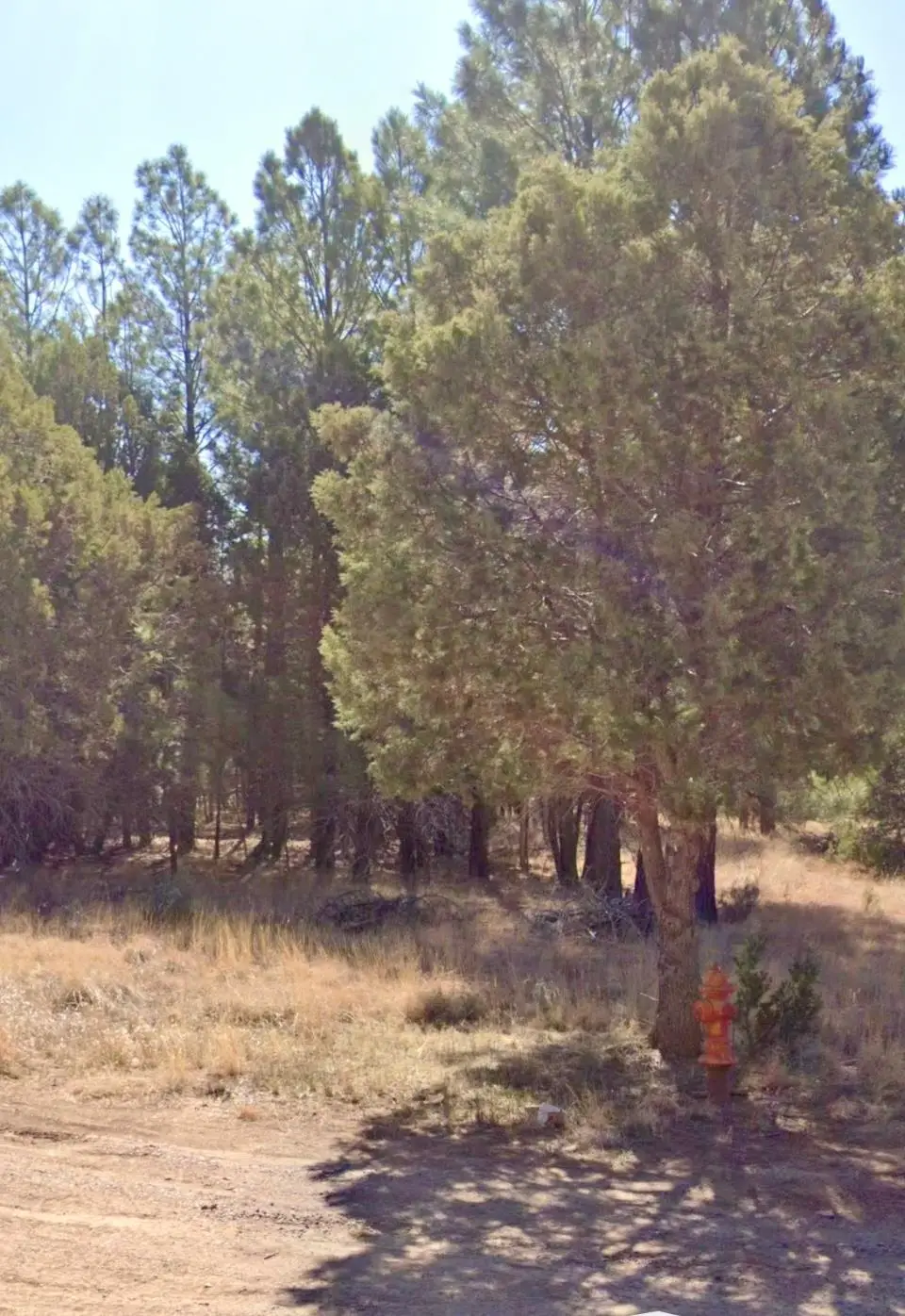 39 Shale Loop, Timberon, NM 88350 - Image #1