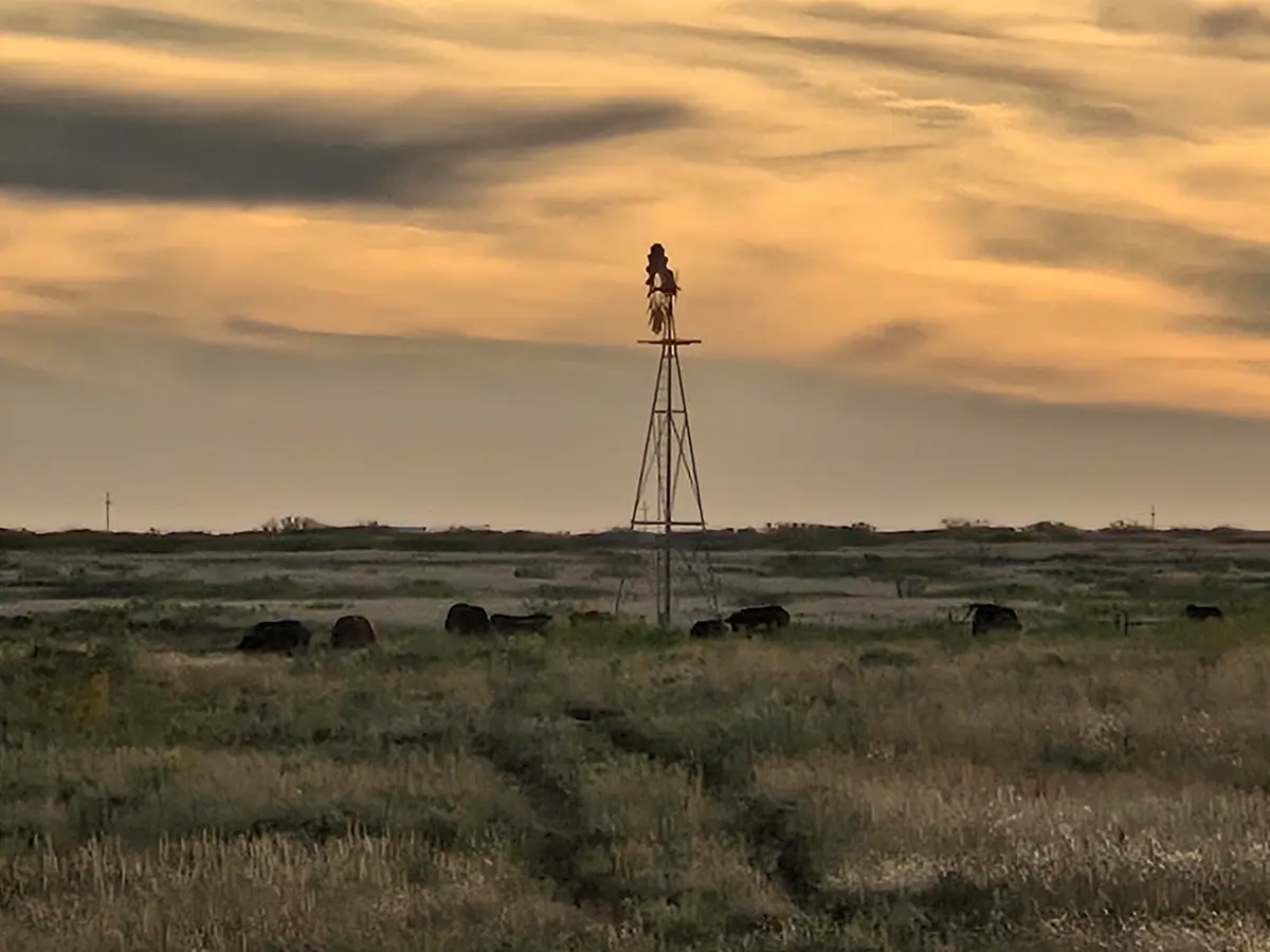 Outside City, Fort Sumner, NM 88119 - Image #1