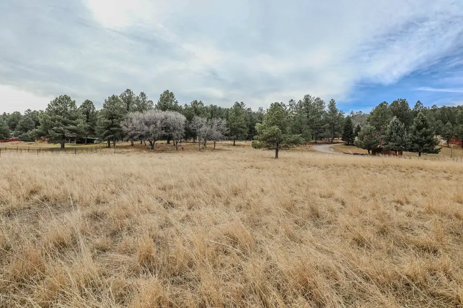 00 Taos, Cloudcroft, NM 88317 - Image #3