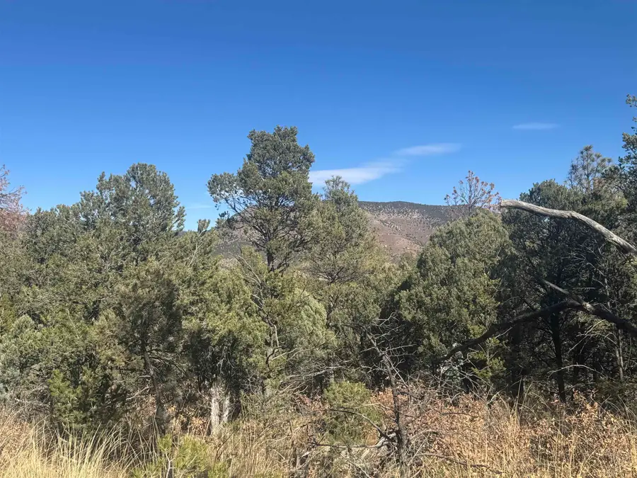 0 Chloride LN, Timberon, NM 88350-0000 - Image #2