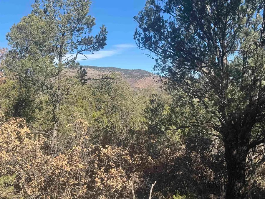 0 Chloride LN, Timberon, NM 88350-0000 - Image #3