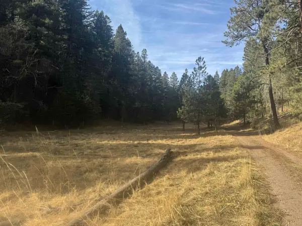 Dark Canyon RD, Cloudcroft, NM 88317-0000