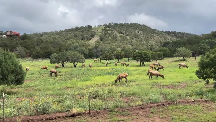 128 Westside Rd, High Rolls Mountain Park, NM 88325 - Image #3