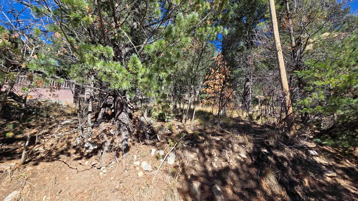 Platinum Strip, Cloudcroft, NM 88317 - #1