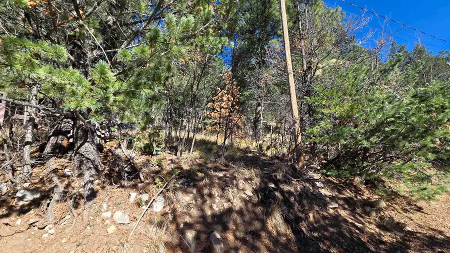 Platinum Strip, Cloudcroft, NM 88317 - #3