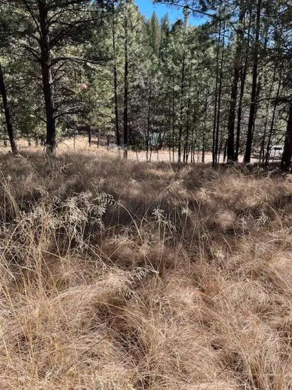 Lariat Road, Cloudcroft, NM 88317