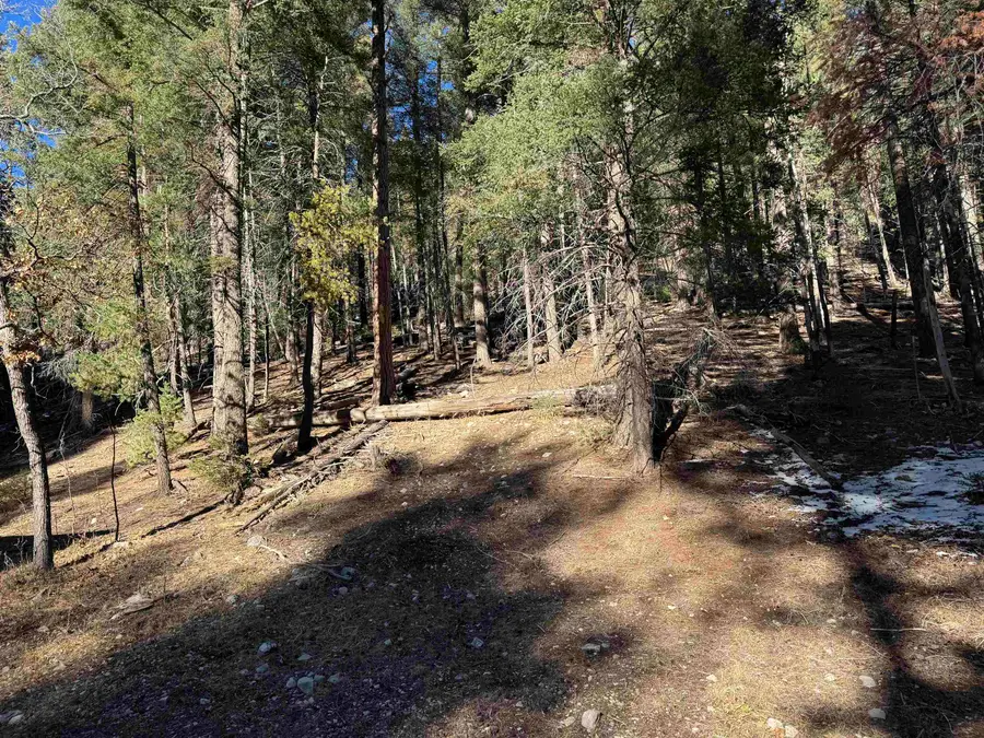 479 Hay Canyon Rd, Sacramento, NM 88347 - Image #3