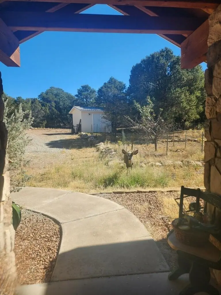 98 Cottonwood Canyon, La Luz, NM 88337 - Image #3