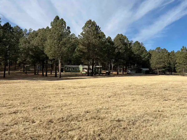 18 Board Tree Canyon Rd, Cloudcroft, NM 88317