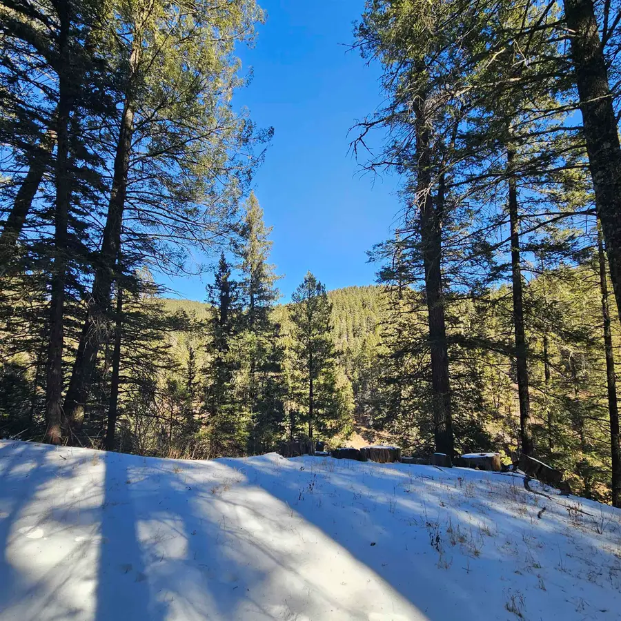 000 Railroad Ave, Cloudcroft, NM 88317-0000 - Image #2