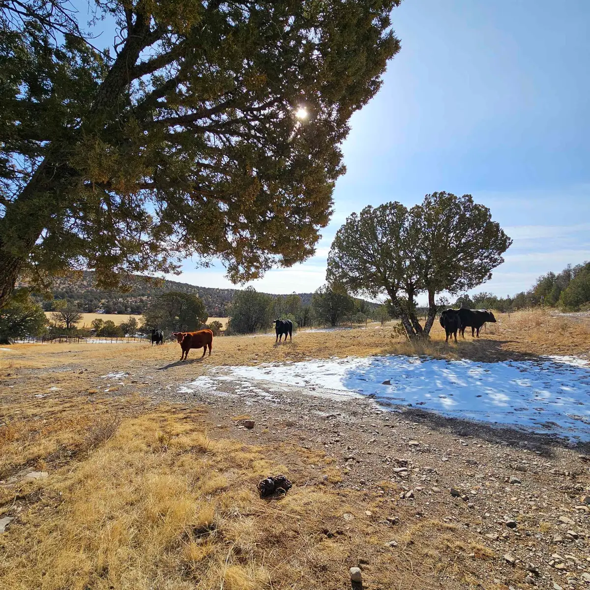 00 Miller Flats Rd, Weed, NM 88354-0000 - Image #1