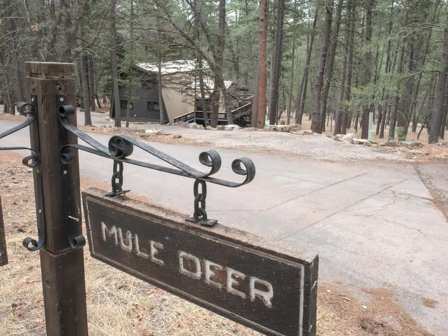 9 Mule Deer, Mayhill, NM 88339-0000 - #3