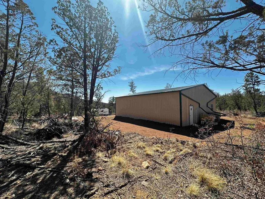 551 Johnnys Dr, Timberon, NM 88350 - #3