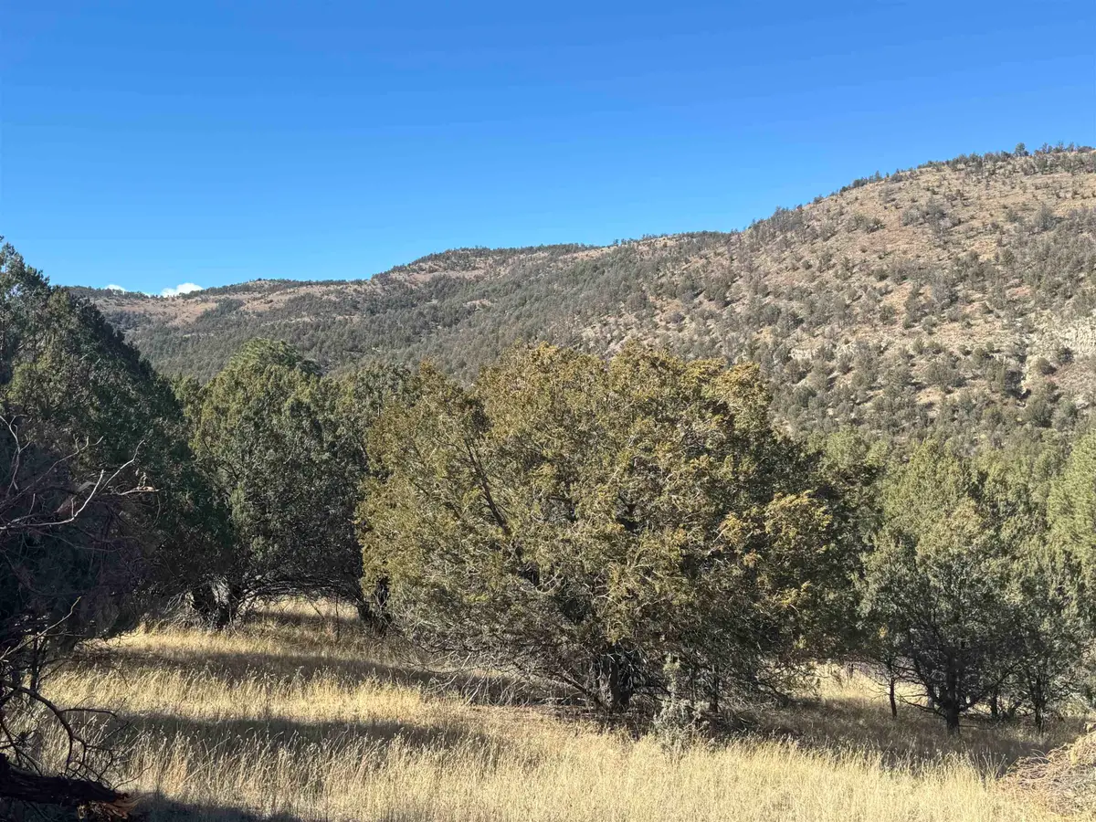 Rio Penasco Rd, Mayhill, NM 88339-0000 - #1