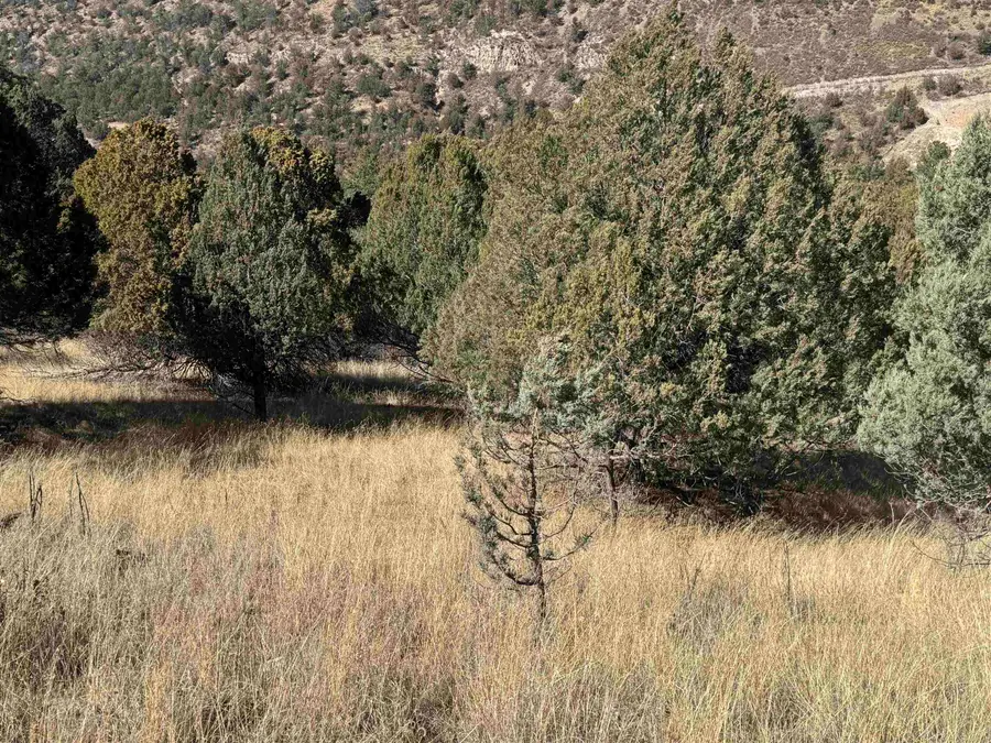 Rio Penasco Rd, Mayhill, NM 88339-0000 - #2