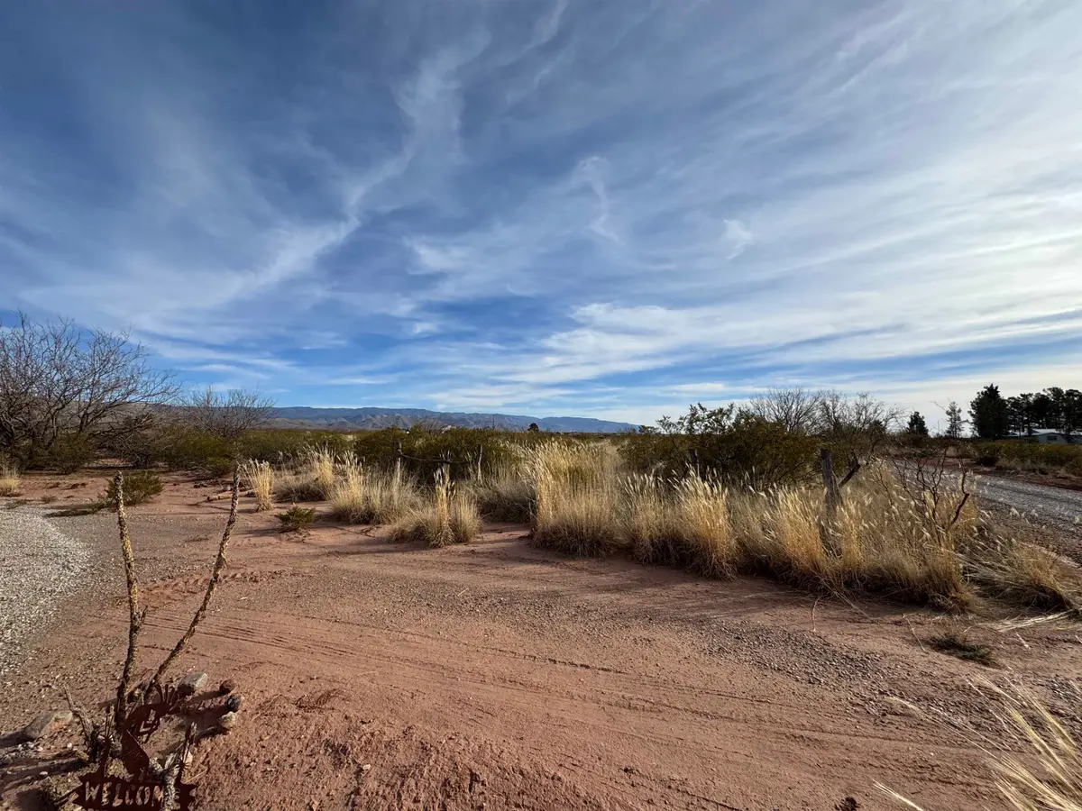 Rattlesnake Rd, Tularosa, NM 88352 - #1