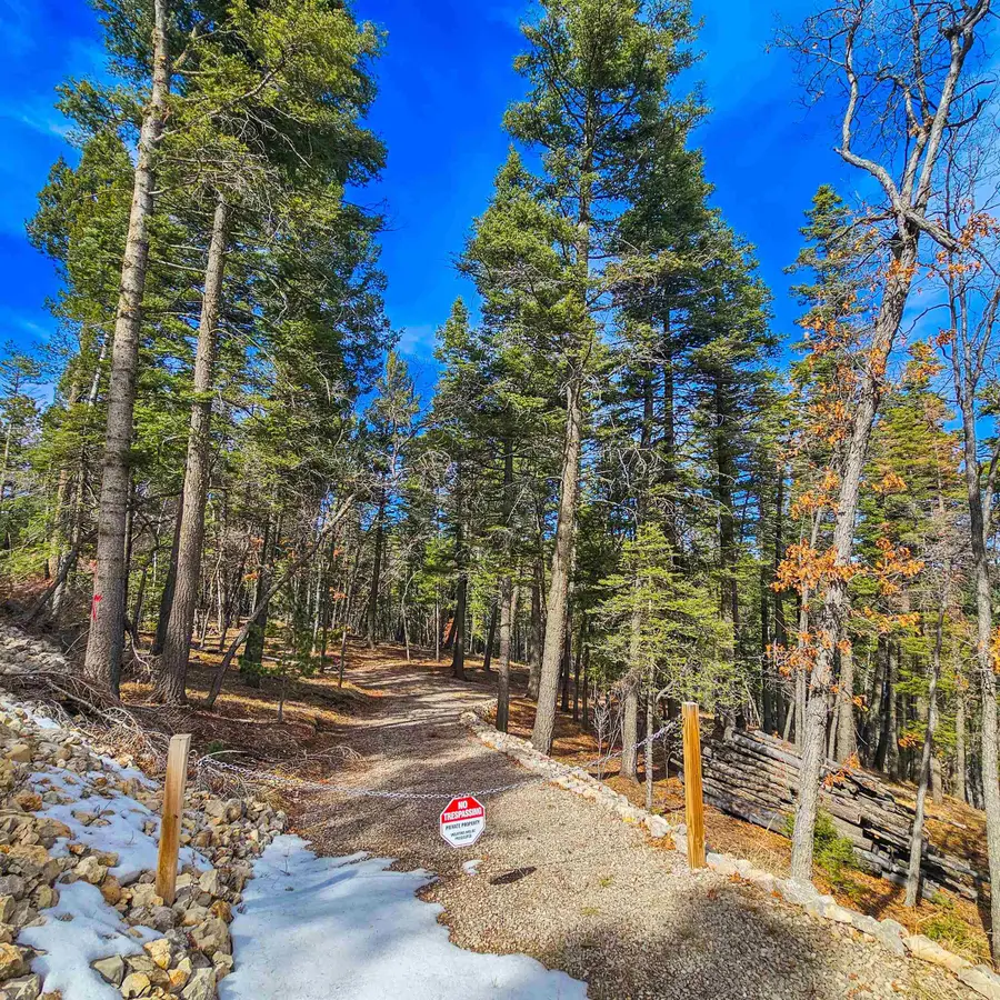 00 Lee Cir, Cloudcroft, NM 88317-0000 - #3