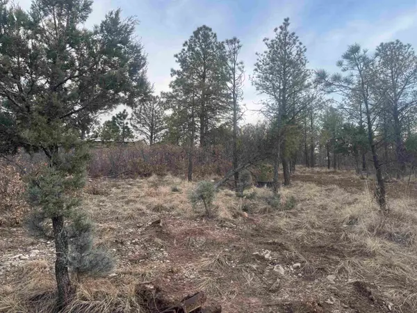 Cibola DR, Timberon, NM 88350-0000